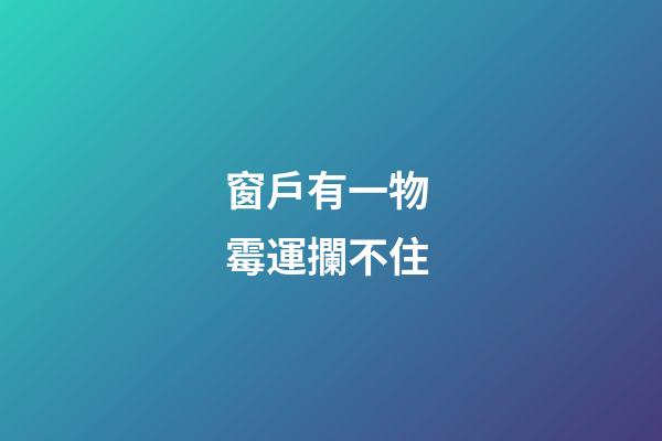 窗戶有一物 霉運攔不住